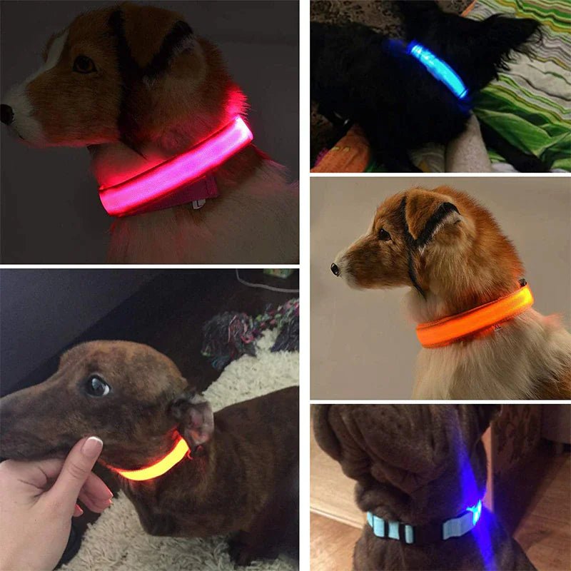 LED Adjustable Dog Collar Blinking Flashing Light Up Pet Safety Waterproof - USA Pets