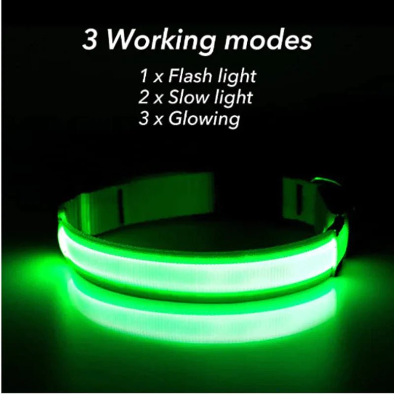 LED Adjustable Dog Collar Blinking Flashing Light Up Pet Safety Waterproof - USA Pets