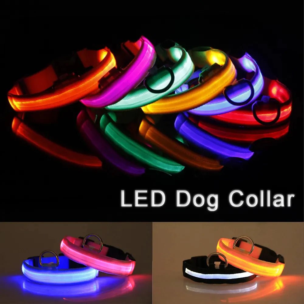 LED Adjustable Dog Collar Blinking Flashing Light Up Pet Safety Waterproof - USA Pets