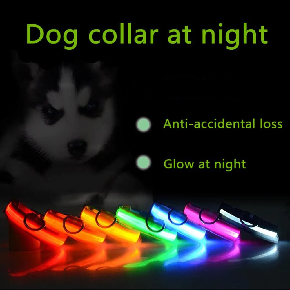 LED Adjustable Dog Collar Blinking Flashing Light Up Pet Safety Waterproof - USA Pets