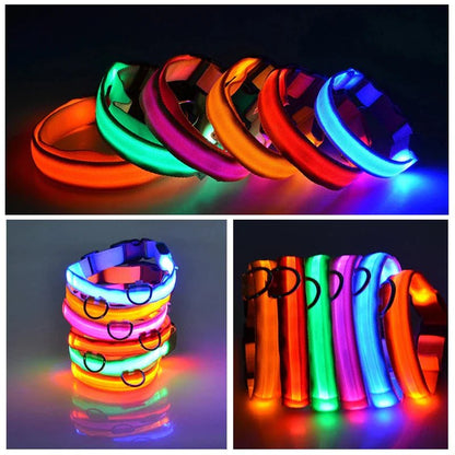 LED Adjustable Dog Collar Blinking Flashing Light Up Pet Safety Waterproof - USA Pets