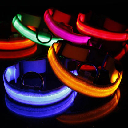 LED Adjustable Dog Collar Blinking Flashing Light Up Pet Safety Waterproof - USA Pets