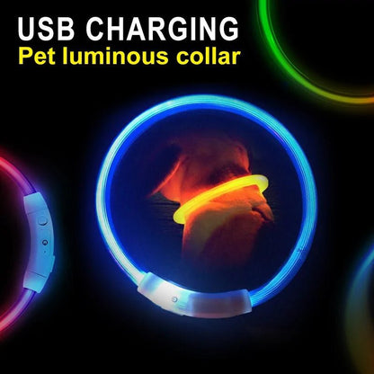 LED Collar Night Safety For Pets - USA Pets