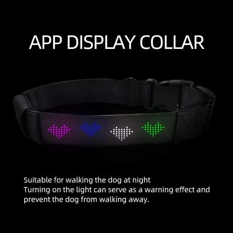 LED Display Pet Collar App Control - USA Pets