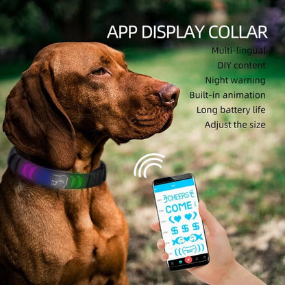 LED Display Pet Collar App Control - USA Pets