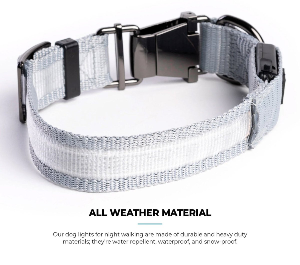 LED Dog Collar - Grey - USA Pets