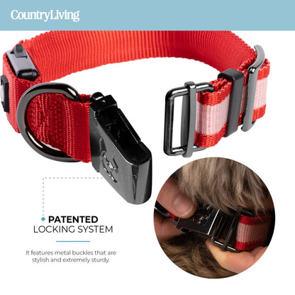 LED Dog Collar - Red - USA Pets