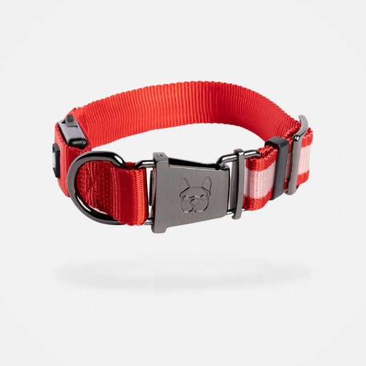 LED Dog Collar - Red - USA Pets