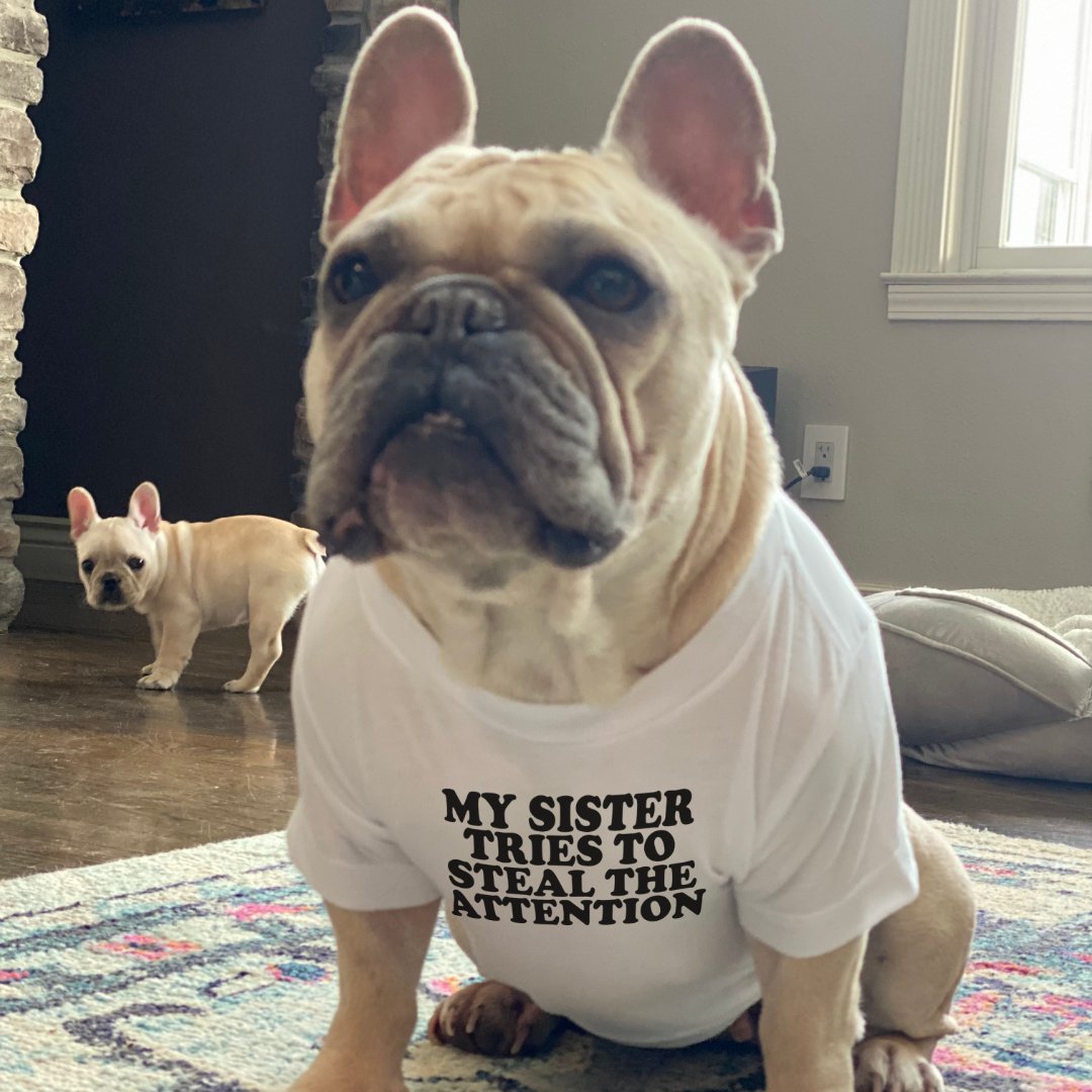 My Sister Tries to Steal the Attention Dog Shirt - USA Pets