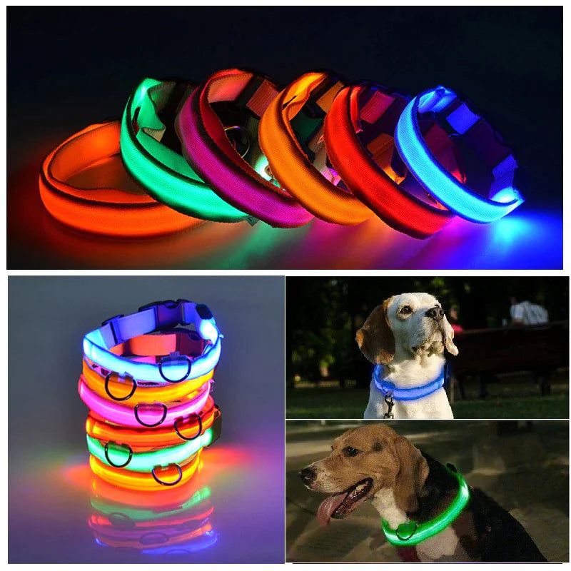 LED Adjustable Dog Collar Blinking Flashing Light Up Pet Safety Waterproof - USA Pets