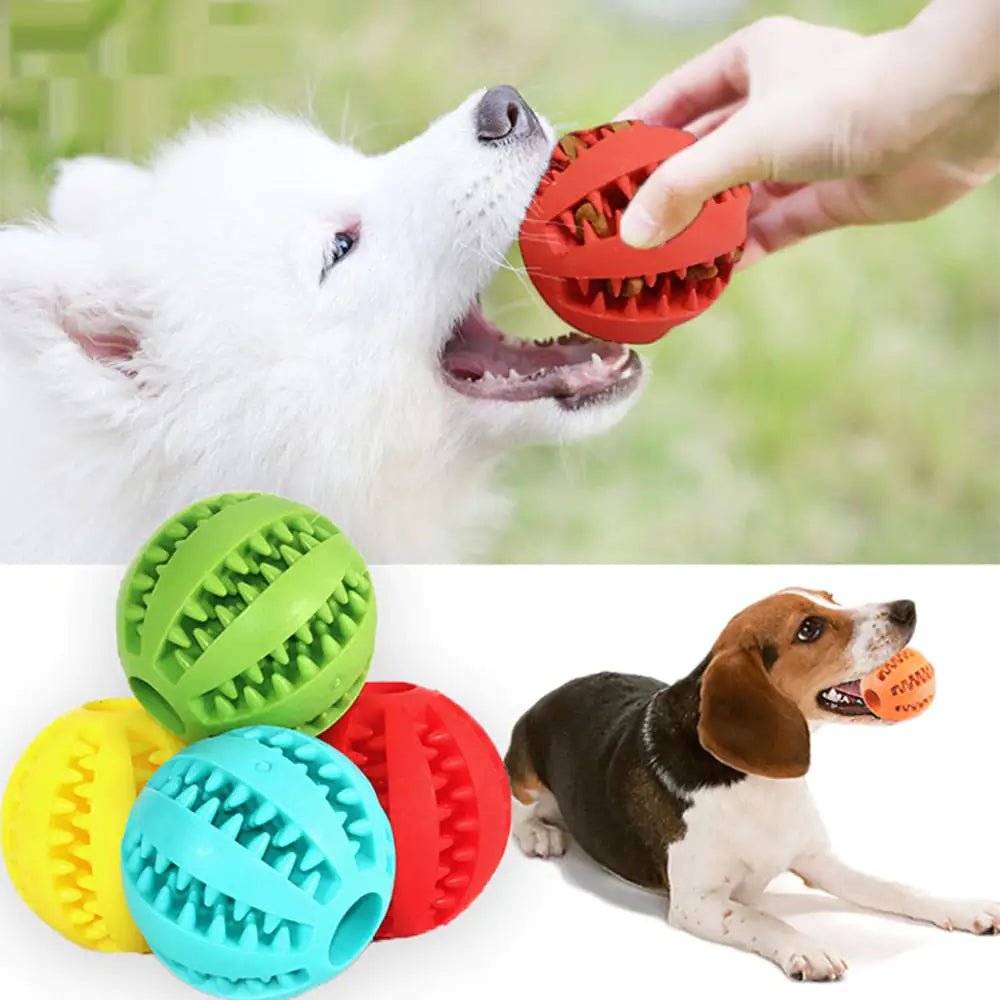 Pet Toy Rubber Balls - USA Pets