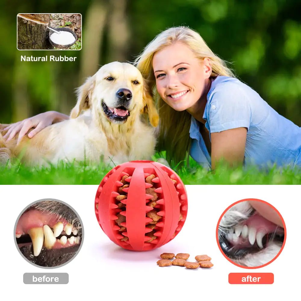 Pet Toy Rubber Balls - USA Pets