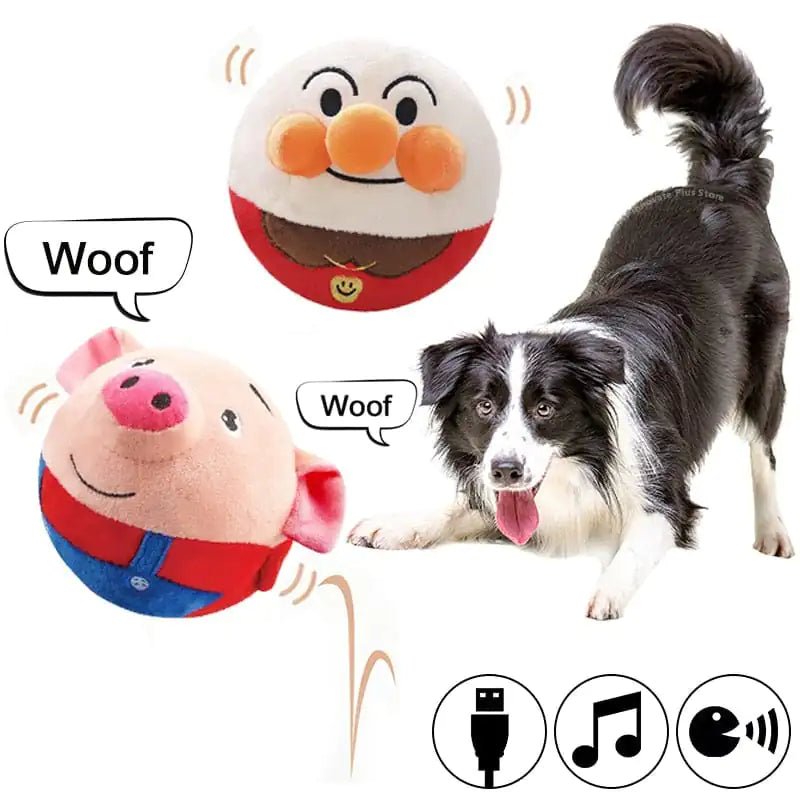 PetPalz: Interactive Talking Ball For Pets - USA Pets