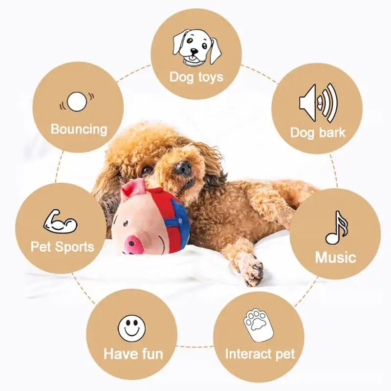 PetPalz: Interactive Talking Ball For Pets - USA Pets