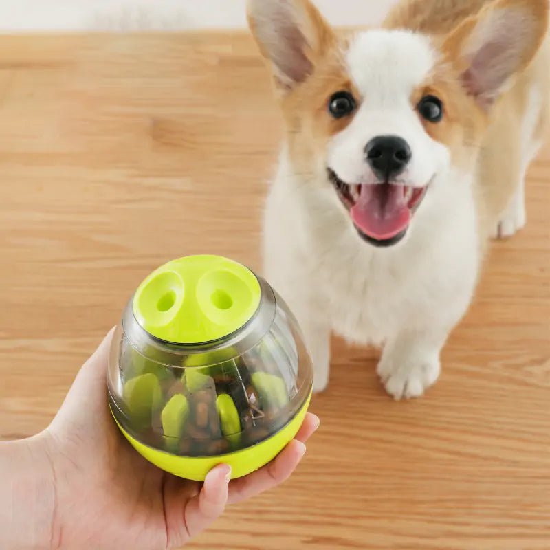 Pets IQ Treat Toys - USA Pets