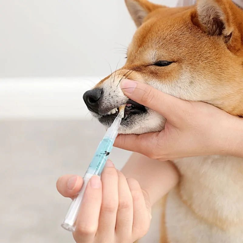 Pets Teeth Cleaning Tool - USA Pets