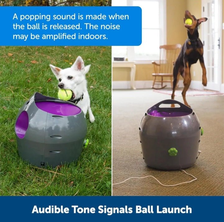 Petsafe® Automatic Ball Launcher - USA Pets