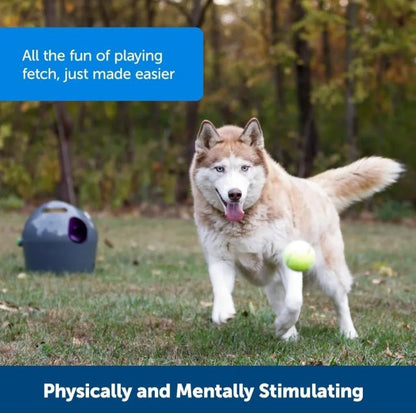 Petsafe® Automatic Ball Launcher - USA Pets