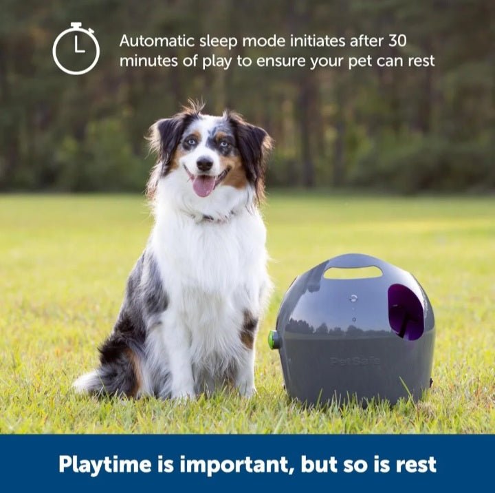 Petsafe® Automatic Ball Launcher - USA Pets