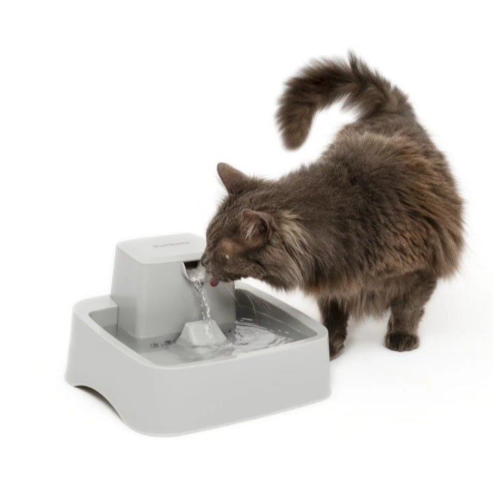 PetSafe® Drinkwell® 1/2 gallon water fountain for pets - USA Pets