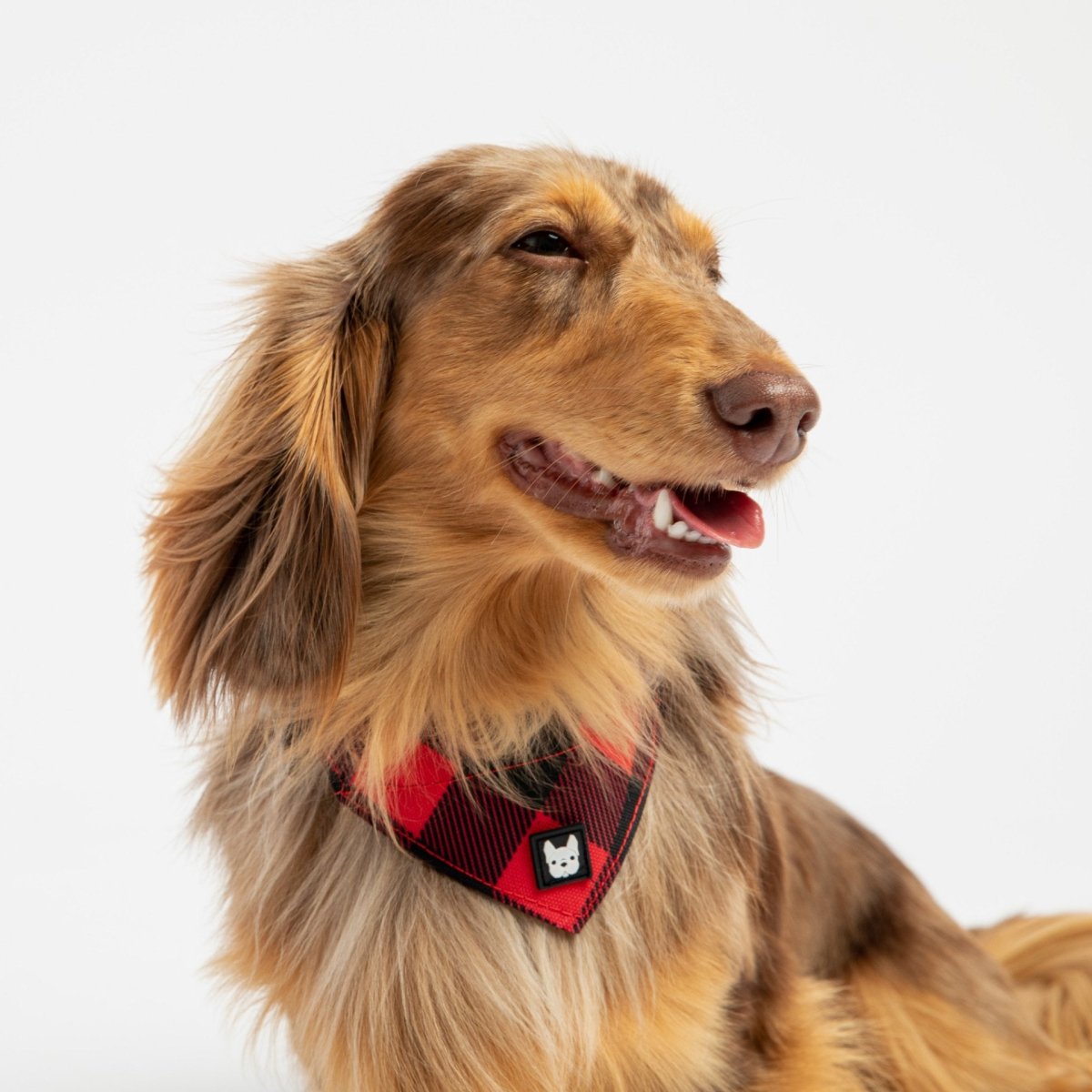 Poplin Bandana Dog Collar - Red Plaid - USA Pets