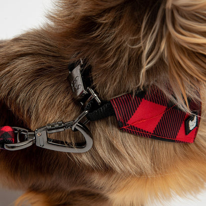 Poplin Bandana Dog Collar - Red Plaid - USA Pets