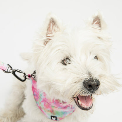 Poplin Dog Bandana Collar - Pink Tie Dye - USA Pets