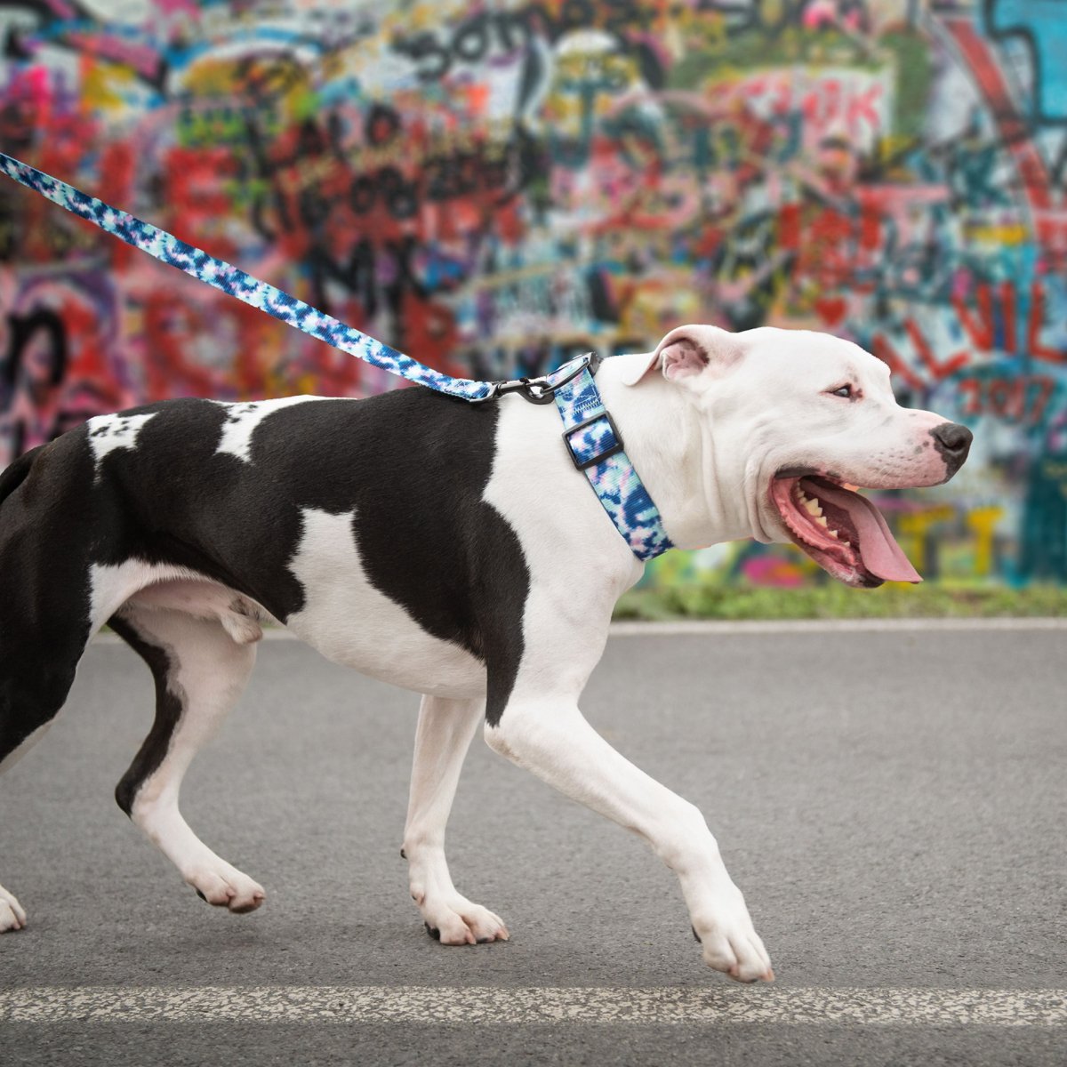 Printed Collar - Tie Dye - USA Pets