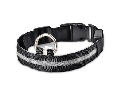 LED Pet Dog Collar for Night Safety, Nylon Leash