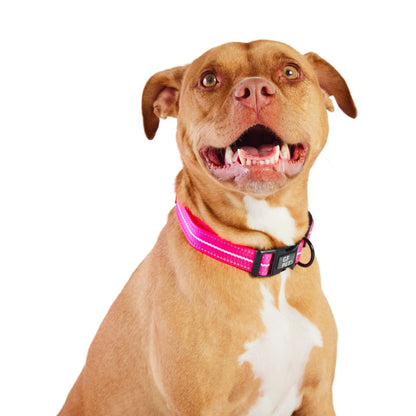 Reflective Collar - Neon Pink - USA Pets