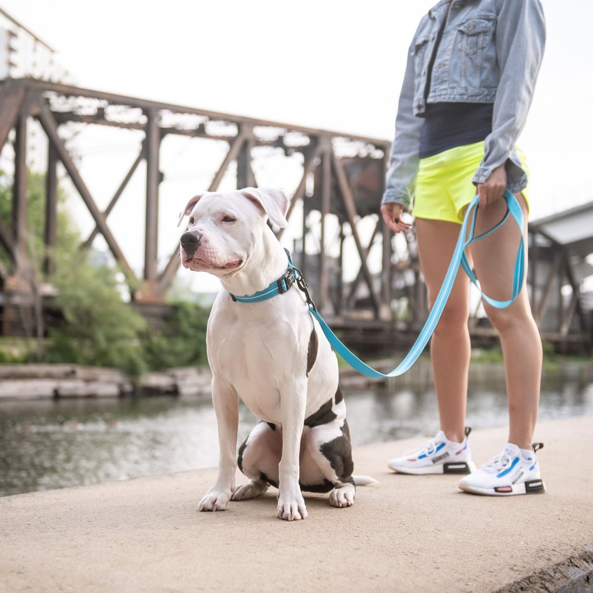 Reflective Leash - Neon Blue - USA Pets