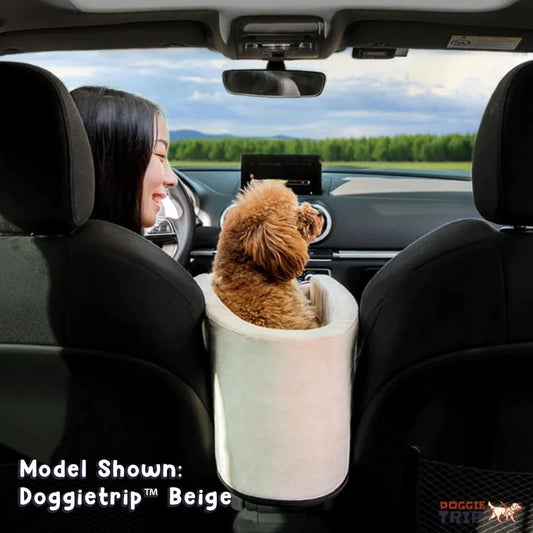 Safety Car Seat For Small Pets - USA Pets