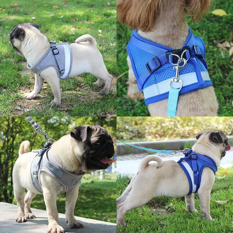 Secure Reflective Harness Set For Small Pets - USA Pets