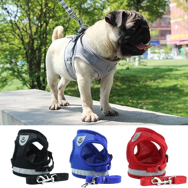 Secure Reflective Harness Set For Small Pets - USA Pets