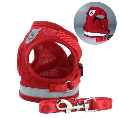 Secure Reflective Harness Set For Small Pets - USA Pets