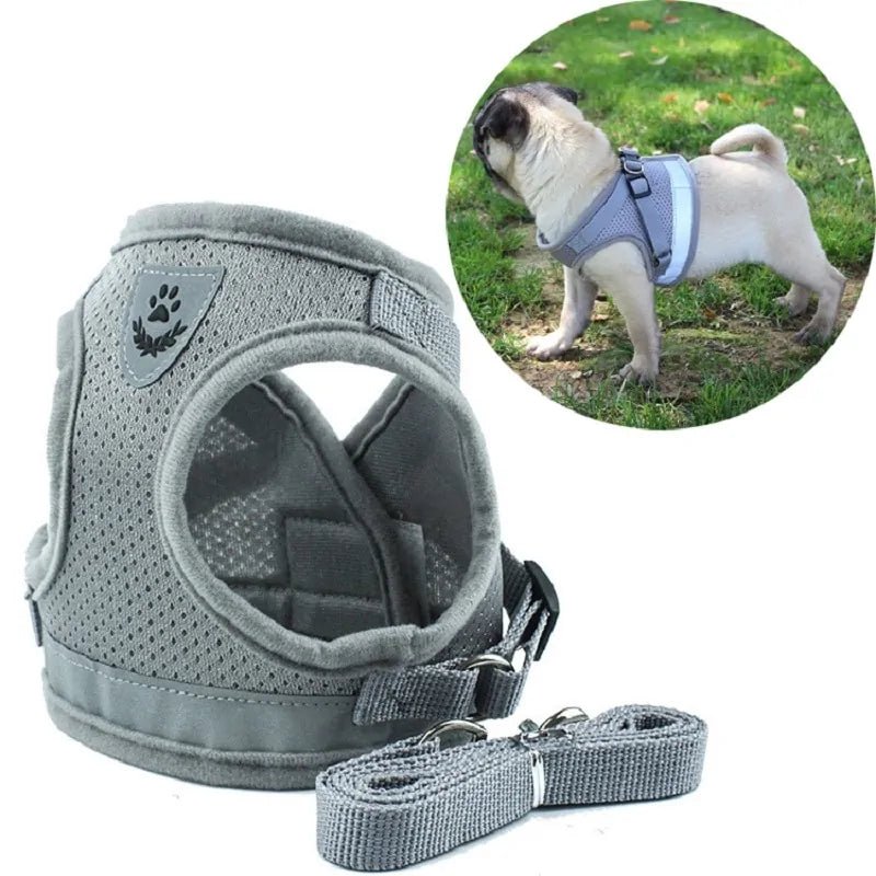 Secure Reflective Harness Set For Small Pets - USA Pets