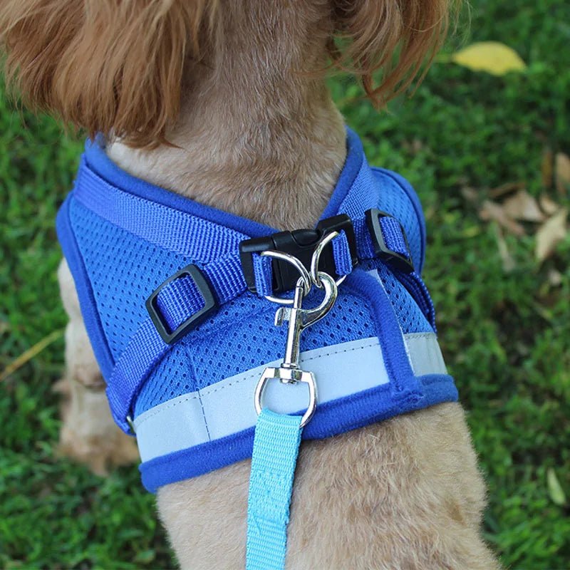 Secure Reflective Harness Set For Small Pets - USA Pets