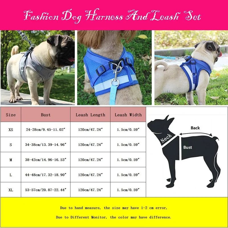 Secure Reflective Harness Set For Small Pets - USA Pets