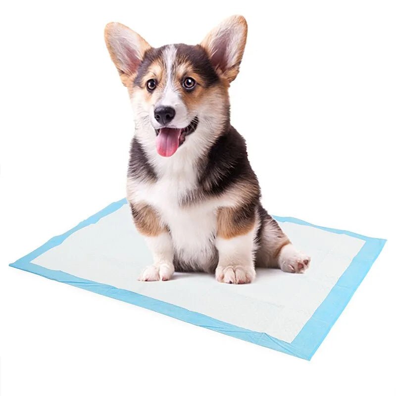 Super Absorbent Pet Training Pee Pads - USA Pets