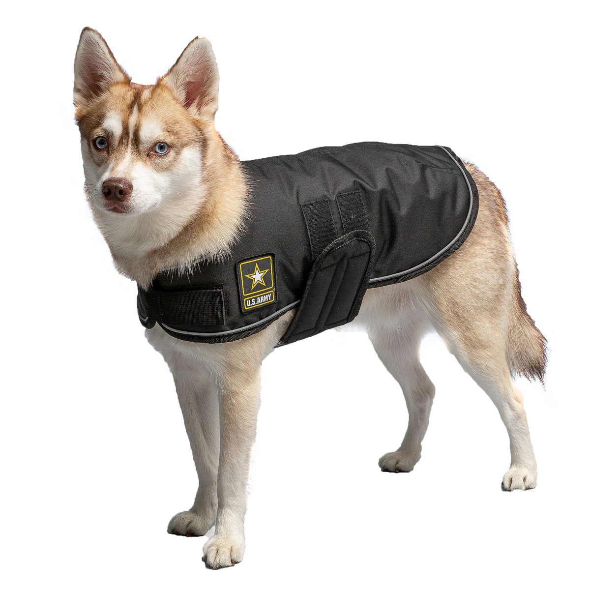 US Army Dog Blanket Jacket - Black - USA Pets