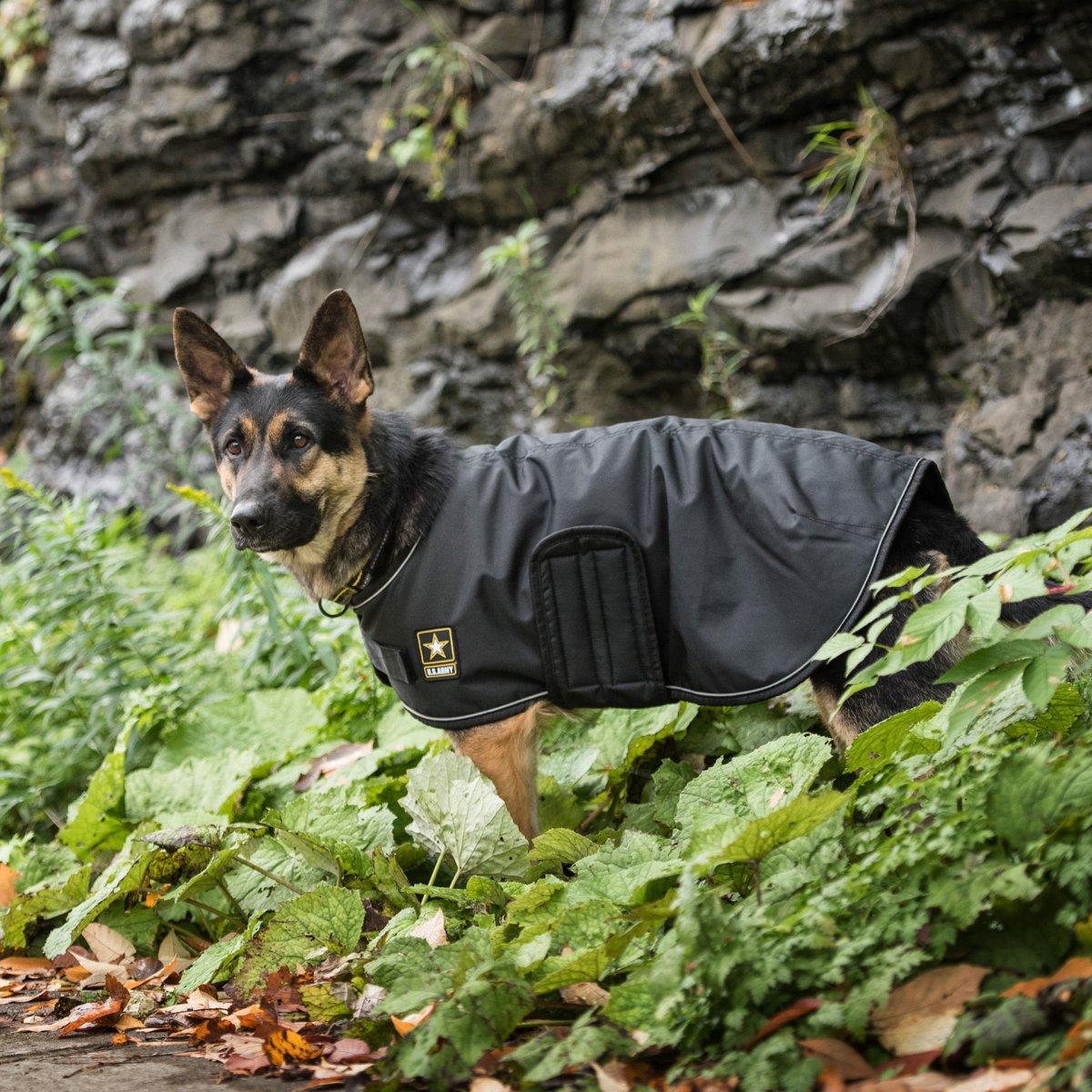 US Army Dog Blanket Jacket - Black - USA Pets