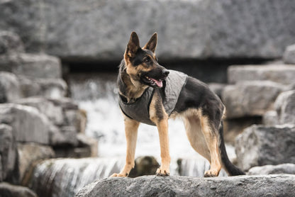 US Army Dog Cooling Vest - Grey - USA Pets