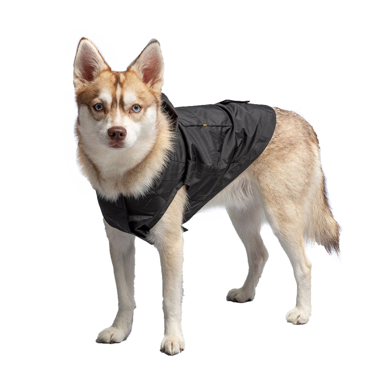 US Army Packable Dog Raincoat - Black - USA Pets