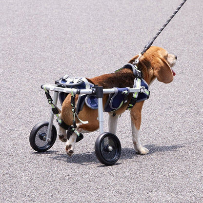 VEVOR 2 Wheels Dog Wheelchair for Back Legs, Pet Wheelchair Lightweight & Adjustable (XS) - USA Pets