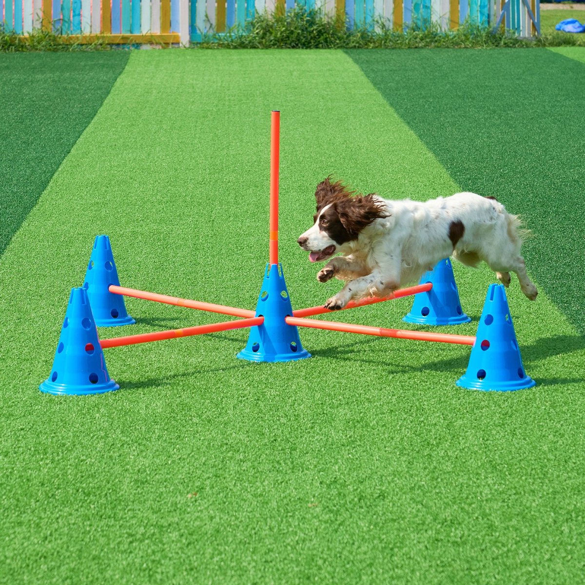 VEVOR Dog Agility Hurdle Cone Set 6 PCS Kit - 12 xCones 6 xAgility Rods with Bag - USA Pets