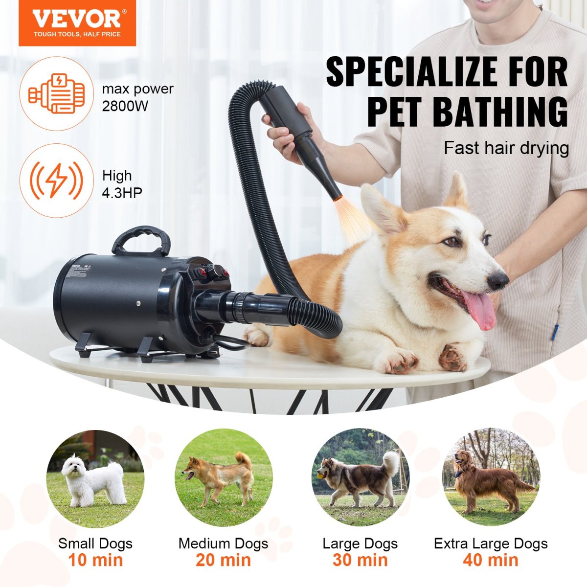 VEVOR Dog Dryer, 2800W/4.3HP Dog Blow Dryer, Pet Grooming Dryer, Black - USA Pets